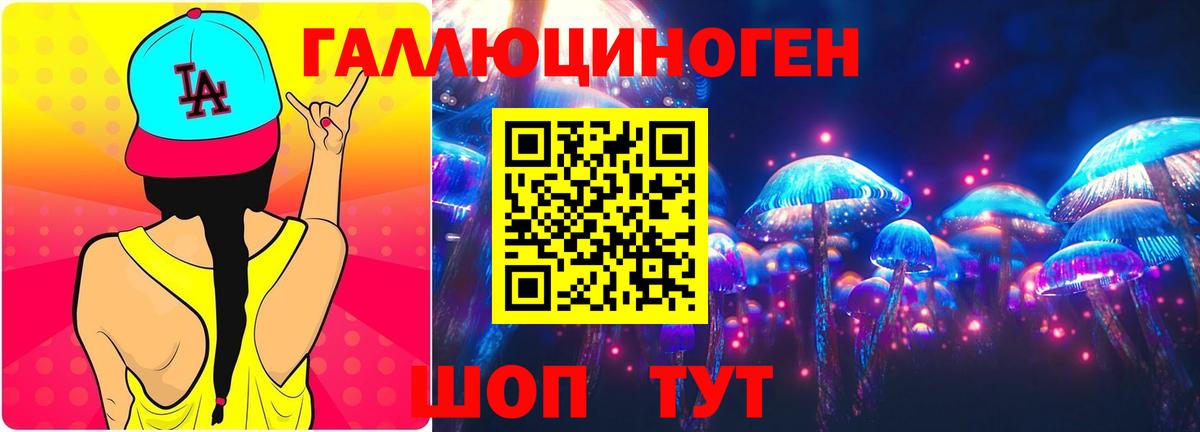 Псилоцибиновые грибы Psilocybe  Вход с VPN  Канаш 