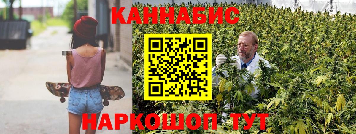 Бошки Шишки ГИДРОПОН Канаш